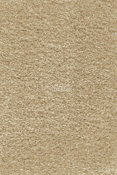 Ковролин AW Ventus 35 фото 1 | FLOORDEALER